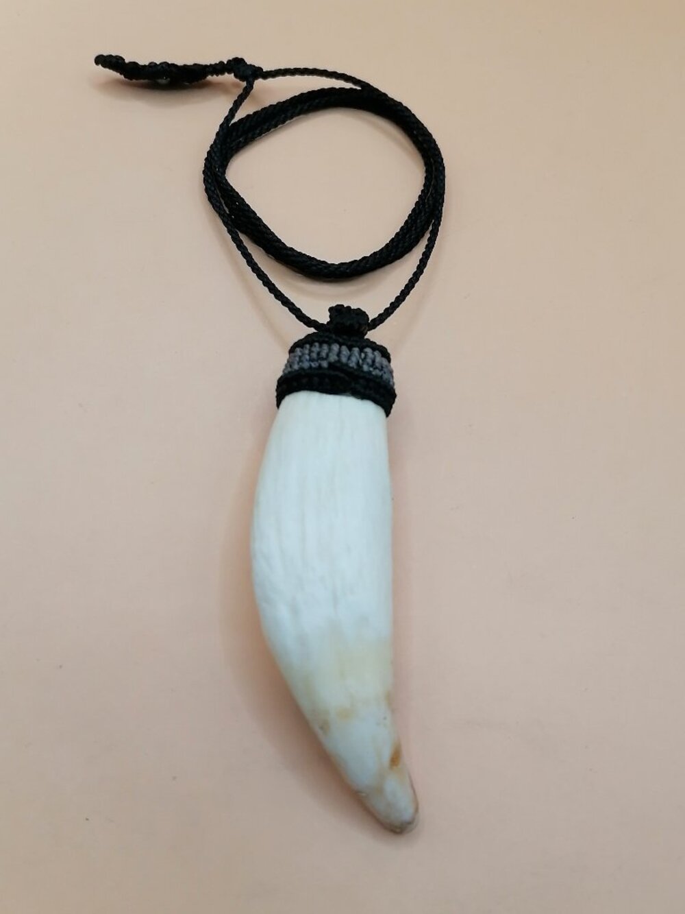 Shamanic Sea Lion Tooth Necklace Protection Amulet - Picture 5 of 8